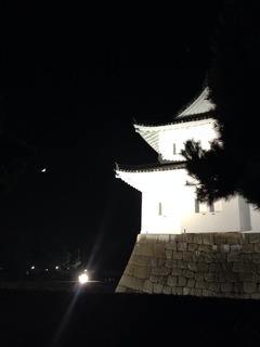 image-ec788.jpg